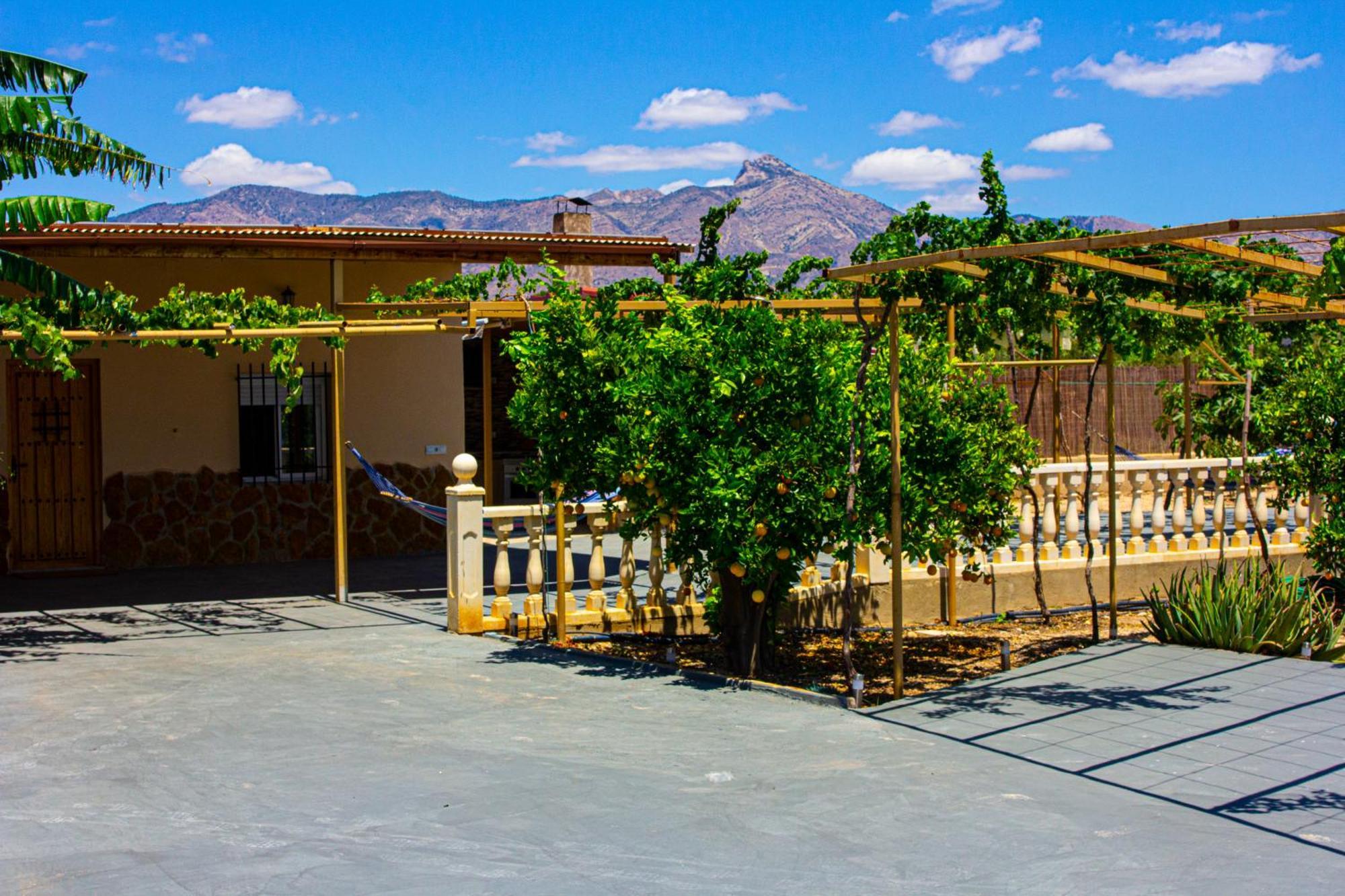 Moderna En Ambiente Rural, Agost